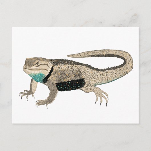Desert Spiny Lizard Reptile Tiere Art Postkarte (Vorderseite)