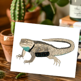 Desert Spiny Lizard Reptile Tiere Art Postkarte