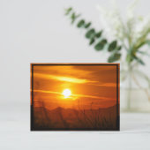 Desert Sun Postkarte (Stehend Vorderseite)
