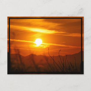 Desert Sun Postkarte