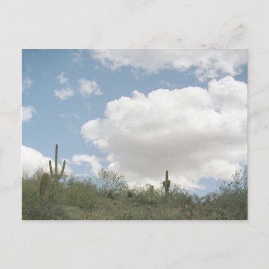 Desert Symphony Sonoran Arizona Foto Postkarten (Vorderseite)