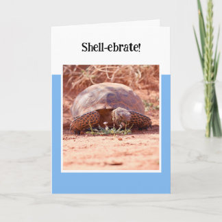 Desert Tortoise Folded Birthday Card Karte