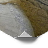 Desert Tortoise Nah-Up Poster (Ecke)