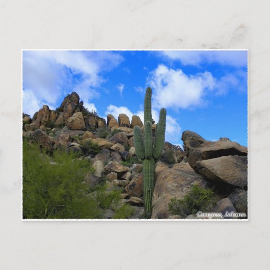 Desert Treasures Postkarte (Vorderseite)