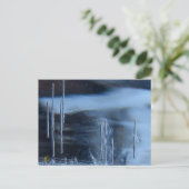 Desert Vision Quest, Saguaro bei Nacht Postkarte (Stehend Vorderseite)