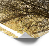 Desert Wheelie Motocross Poster (Ecke)