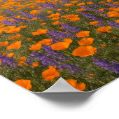 Desert Wildflowers Greeting Card - Spring Western  Poster (Ecke)