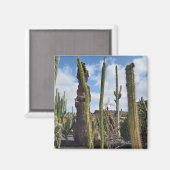 “Desert Windmill and Cactus” Magnet (Vorderseite/Rückseite)