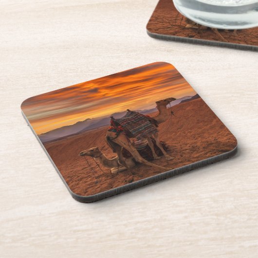 Deserts | Bactrian Camel Egypt Sand Dune Getränkeuntersetzer (Linke Seite)