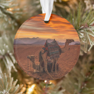 Deserts   Bactrian Camel Egypt Sand Dune Ornament