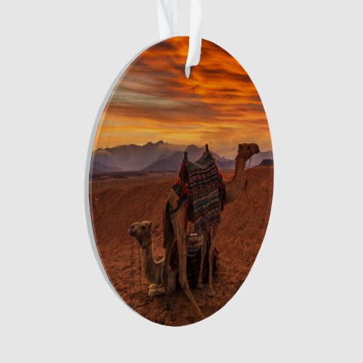 Deserts | Bactrian Camel Egypt Sand Dune Ornament (Vorderseite)