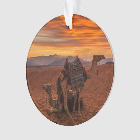 Deserts | Bactrian Camel Egypt Sand Dune Ornament (Vorderseite)