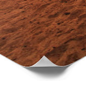 Deserts | Bactrian Camel Egypt Sand Dune Poster (Ecke)