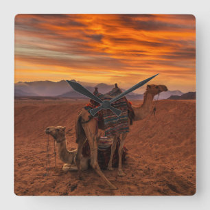 Deserts   Bactrian Camel Egypt Sand Dune Quadratische Wanduhr