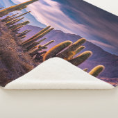 Deserts | Cactus Landscape Argentina Sherpadecke (3/4)