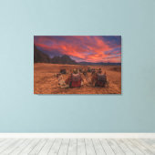 Deserts | Camels Sinai Mountains Egypt Leinwanddruck (Insitu (Holzboden))