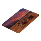 Deserts Camels Sinai Mountains Egypt Magnet (Linke Seite)