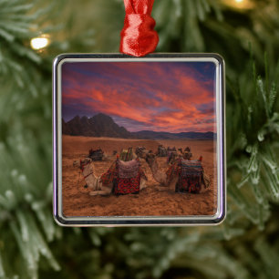 Deserts Camels Sinai Mountains Egypt Ornament Aus Metall