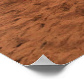 Deserts Camels Sinai Mountains Egypt Poster (Ecke)