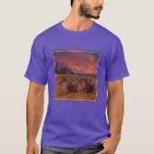 Deserts Camels Sinai Mountains Egypt T-Shirt (Vorderseite)