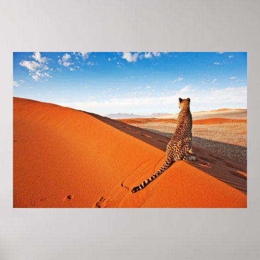 Deserts | Cheetah Savannah Desert Poster (Vorne)