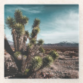 Deserts | Cholla Cactus Glasuntersetzer (Vorderseite)