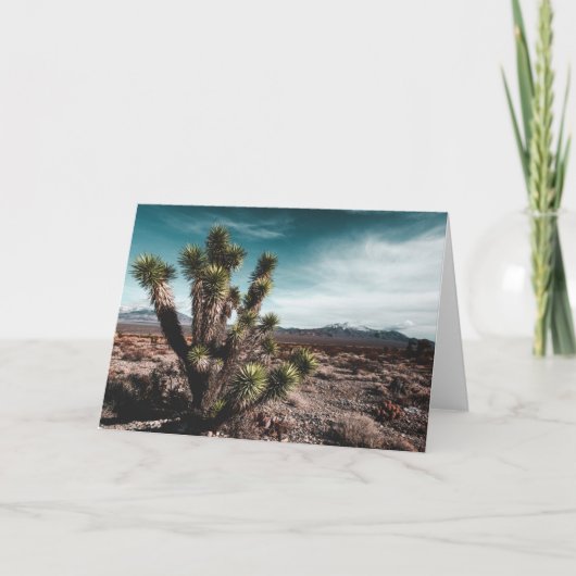 Deserts | Cholla Cactus Karte (Vorderseite)