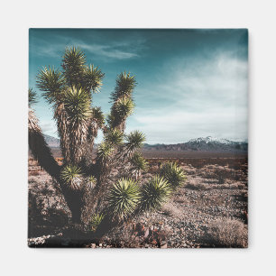 Deserts Cholla Cactus Magnet