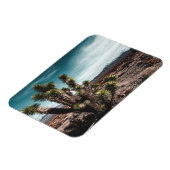 Deserts | Cholla Cactus Magnet (Linke Seite)