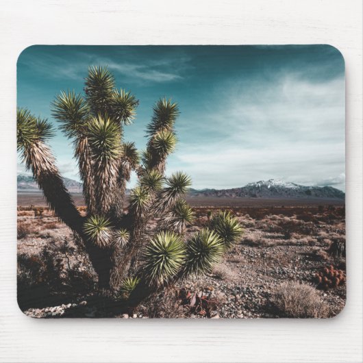 Deserts | Cholla Cactus Mousepad (Vorne)