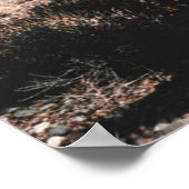 Deserts | Cholla Cactus Poster (Ecke)