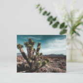 Deserts | Cholla Cactus Postkarte (Stehend Vorderseite)
