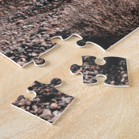Deserts | Cholla Cactus Puzzle (Seite)