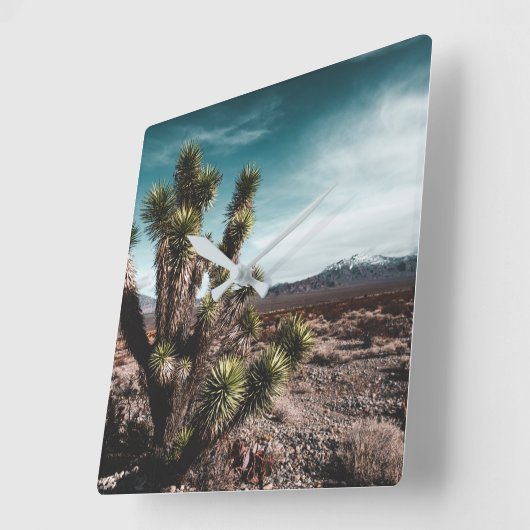 Deserts | Cholla Cactus Quadratische Wanduhr (Winkel)