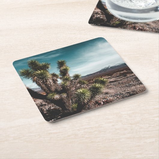 Deserts | Cholla Cactus Rechteckiger Pappuntersetzer (angewinkelt)