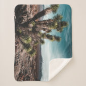 Deserts | Cholla Cactus Sherpadecke (Vorderseite)