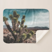 Deserts | Cholla Cactus Sherpadecke (Vorderseite (Horizontal))