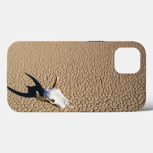 Deserts | Cow Skull on the Desert Ground Case-Mate iPhone Hülle (Rückseite (Horizontal))