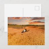Deserts | Desert with Cow Skull Postkarte (Vorne/Hinten)