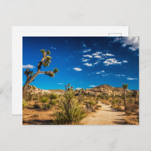 Deserts | Joshua Tree National Park Postkarte (Vorne/Hinten)