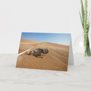 Deserts   Namaqua Chameleon in Desert Karte
