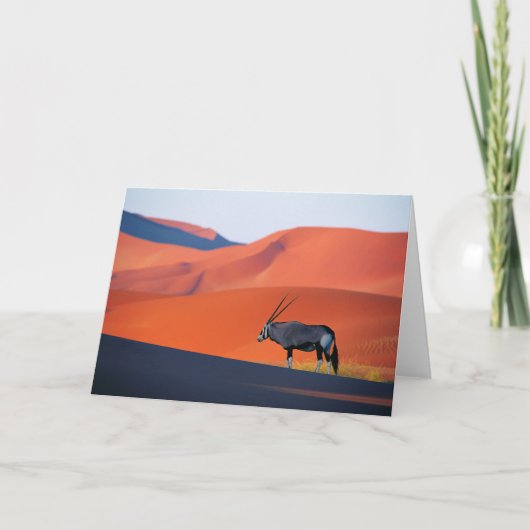 Deserts | Namib Desert Oryx Karte (Vorderseite)
