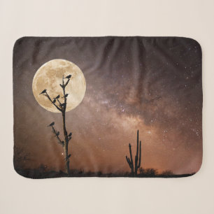 Deserts Saguaro Cactus With Birds in Desert Sherpadecke
