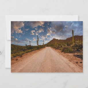 Deserts Saguaro National Park Arizona Dankeskarte