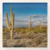 Deserts | Superstition Mountains, Arizona Glasuntersetzer (Vorderseite)