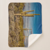 Deserts | Superstition Mountains, Arizona Sherpadecke (Vorderseite)