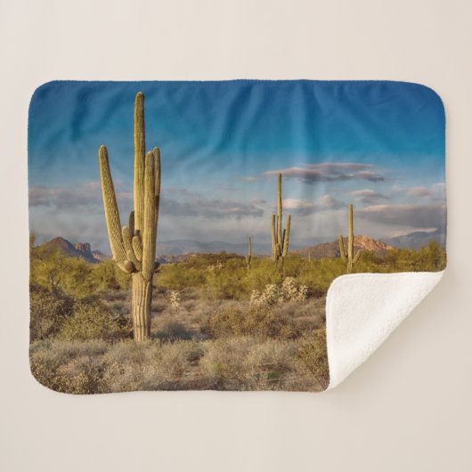 Deserts | Superstition Mountains, Arizona Sherpadecke (Vorderseite (Horizontal))