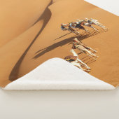 Deserts | Tuareg Walk with Camels Sherpadecke (3/4)