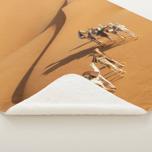 Deserts | Tuareg Walk with Camels Sherpadecke (3/4)