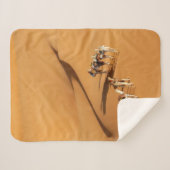 Deserts | Tuareg Walk with Camels Sherpadecke (Vorderseite (Horizontal))